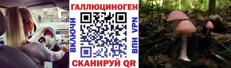 Псилоцибиновые грибы MAGIC MUSHROOMS  Пласт 